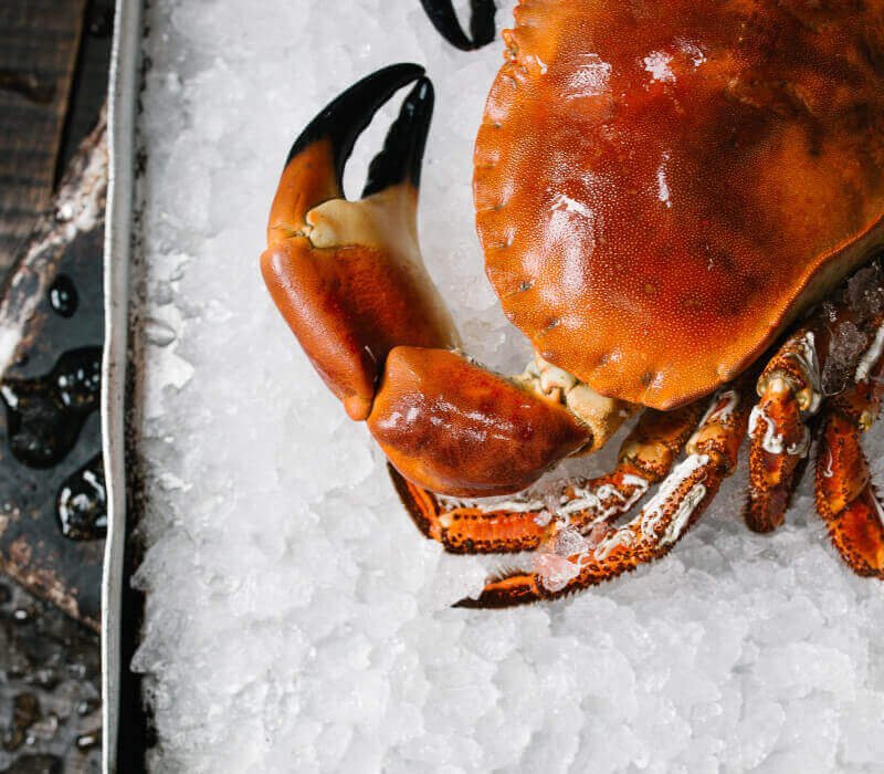 fine-dining-15